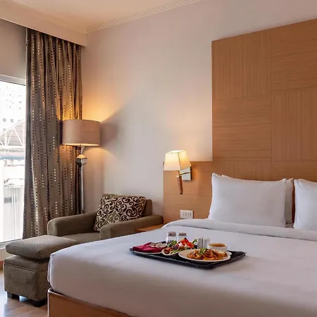 Park Plaza Chennai Omr-2